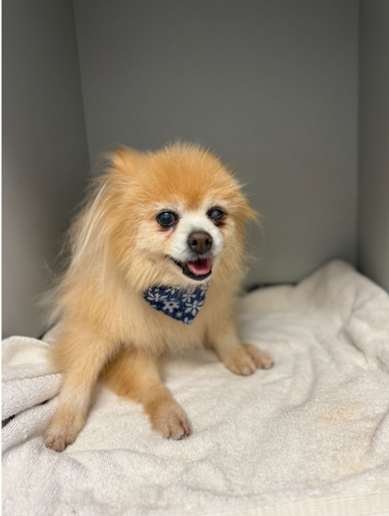 Gentle handling and care